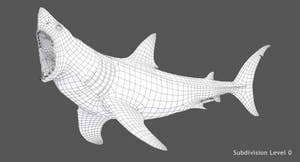  Great White Shark 3D Model Wireframe View Thumbnail