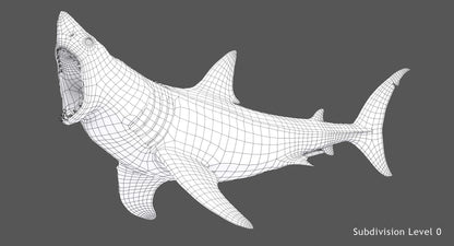 Rigged Great White Shark 3D Model