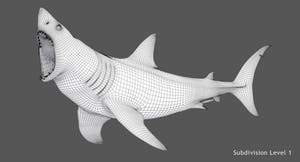  Great White Shark 3D Model Wireframe View Thumbnail