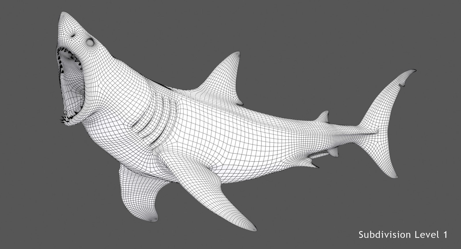  Great White Shark 3D Model Wireframe View