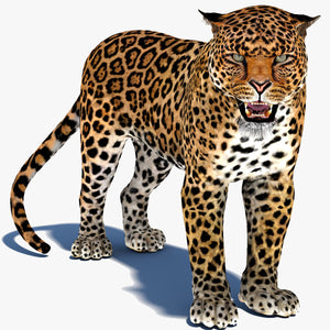 Rigged Jaguar 3D Model Thumbnail
