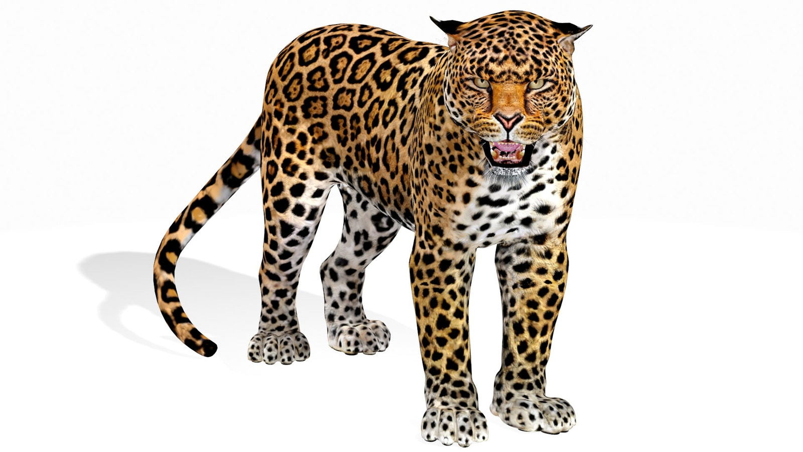 Rigged Jaguar 3D Model