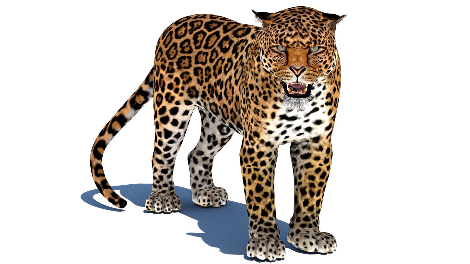Rigged Jaguar 3D Model