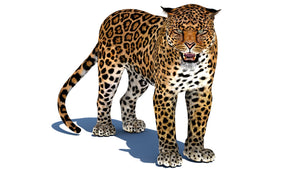 Rigged Jaguar 3D Model Thumbnail