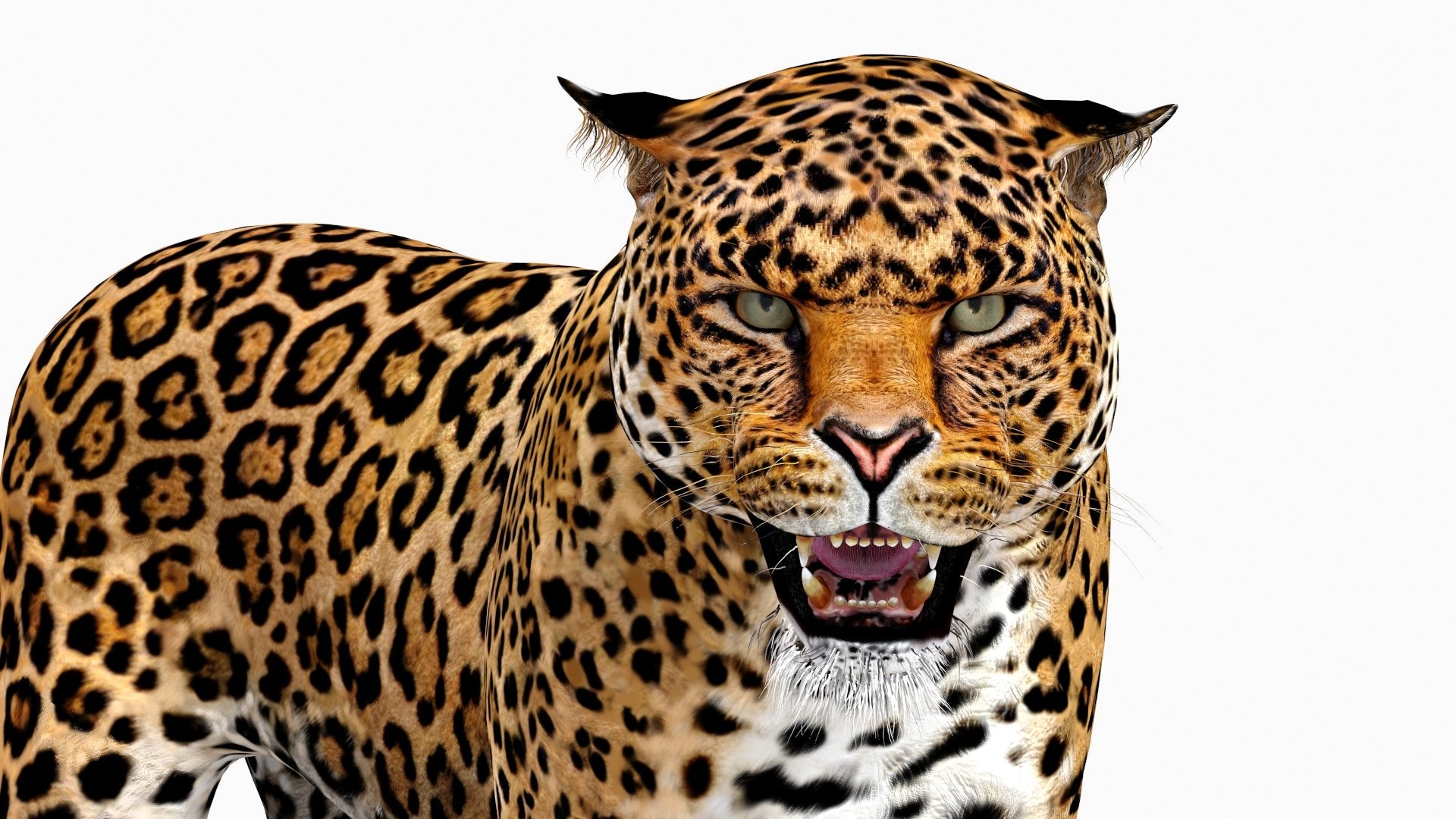 Rigged Jaguar 3D Model head close up