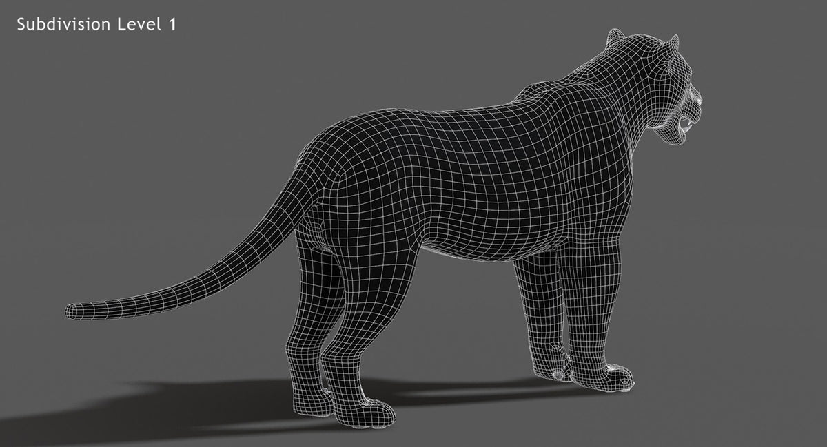 Rigged Jaguar 3D Model - Game-Ready