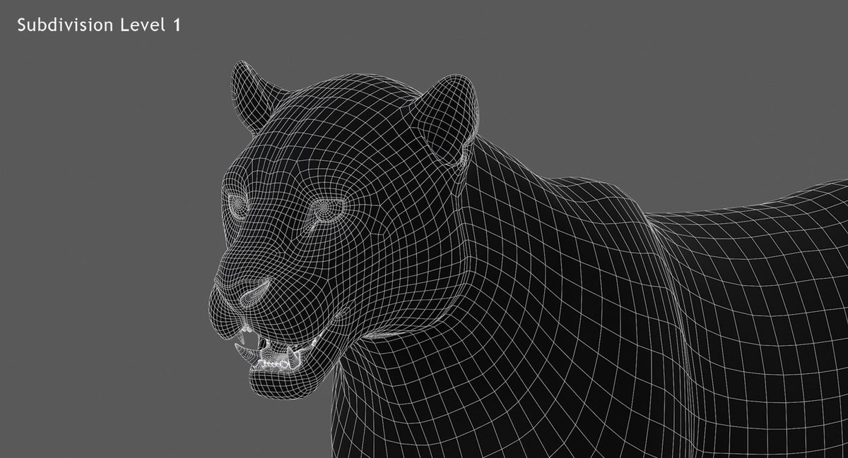 Rigged Jaguar 3D Model - Game-Ready