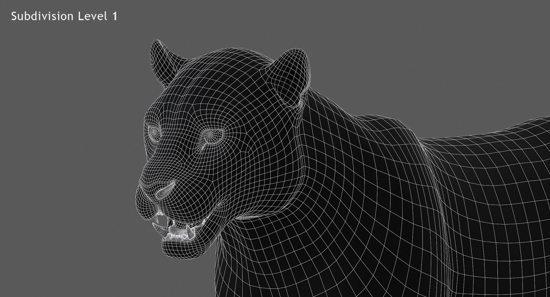 Rigged Jaguar 3D Model