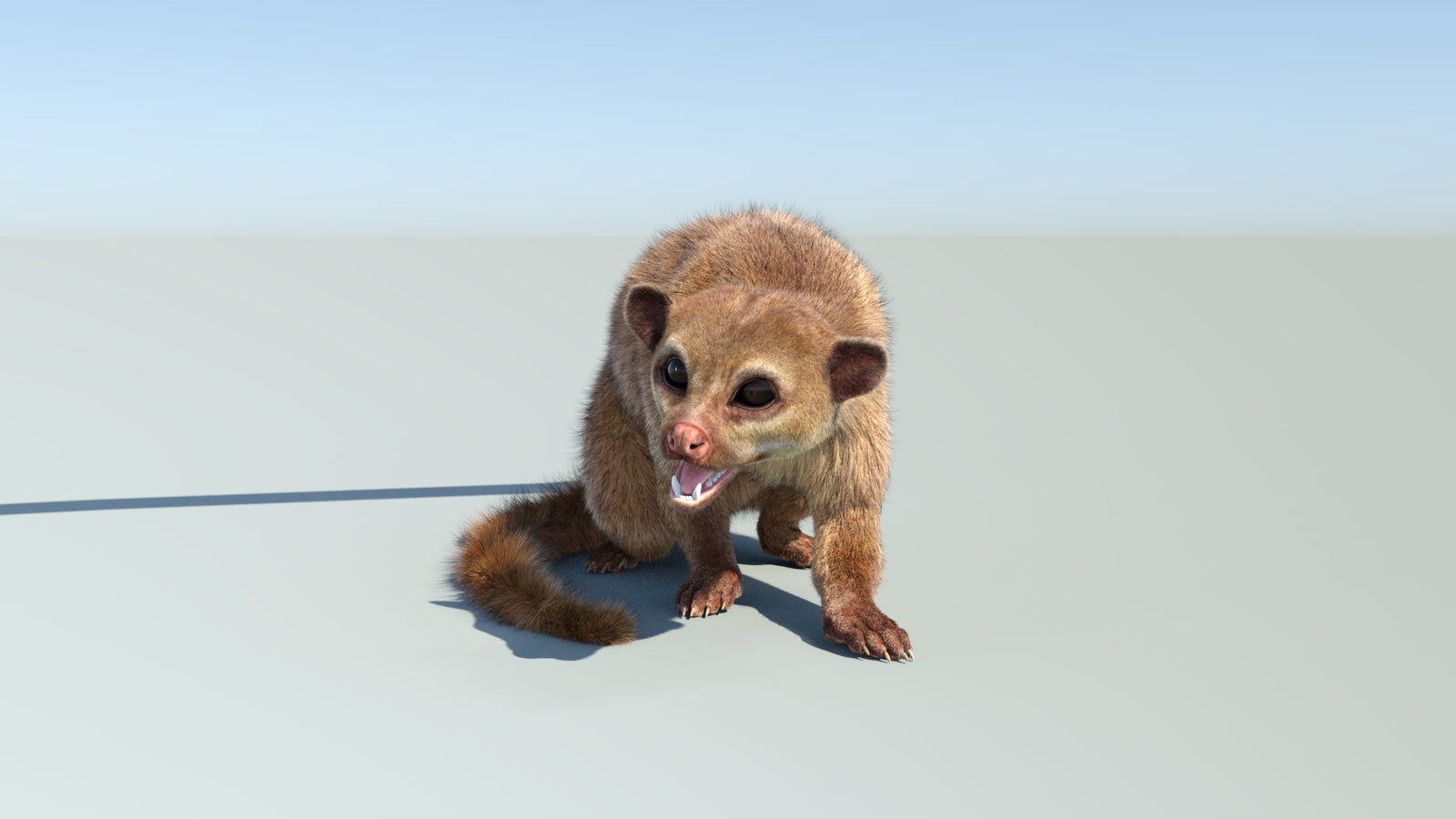 Realistic Kinkajou 3D Model Animated Fur 360° view 2 frame 10