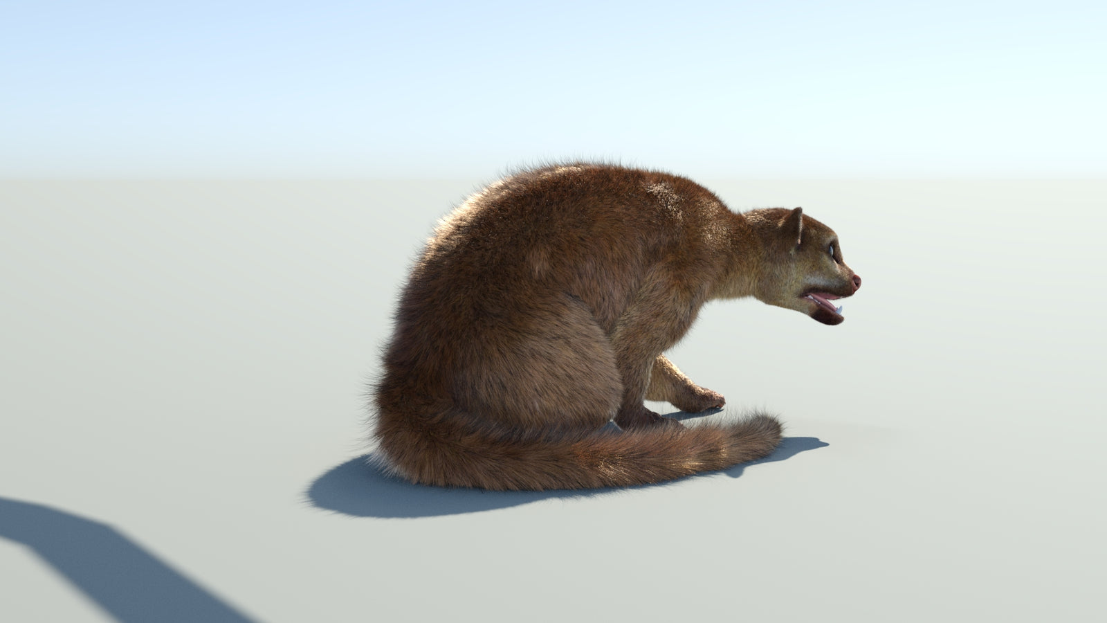 Realistic Kinkajou 3D Model Animated Fur 360° view 2 frame 21