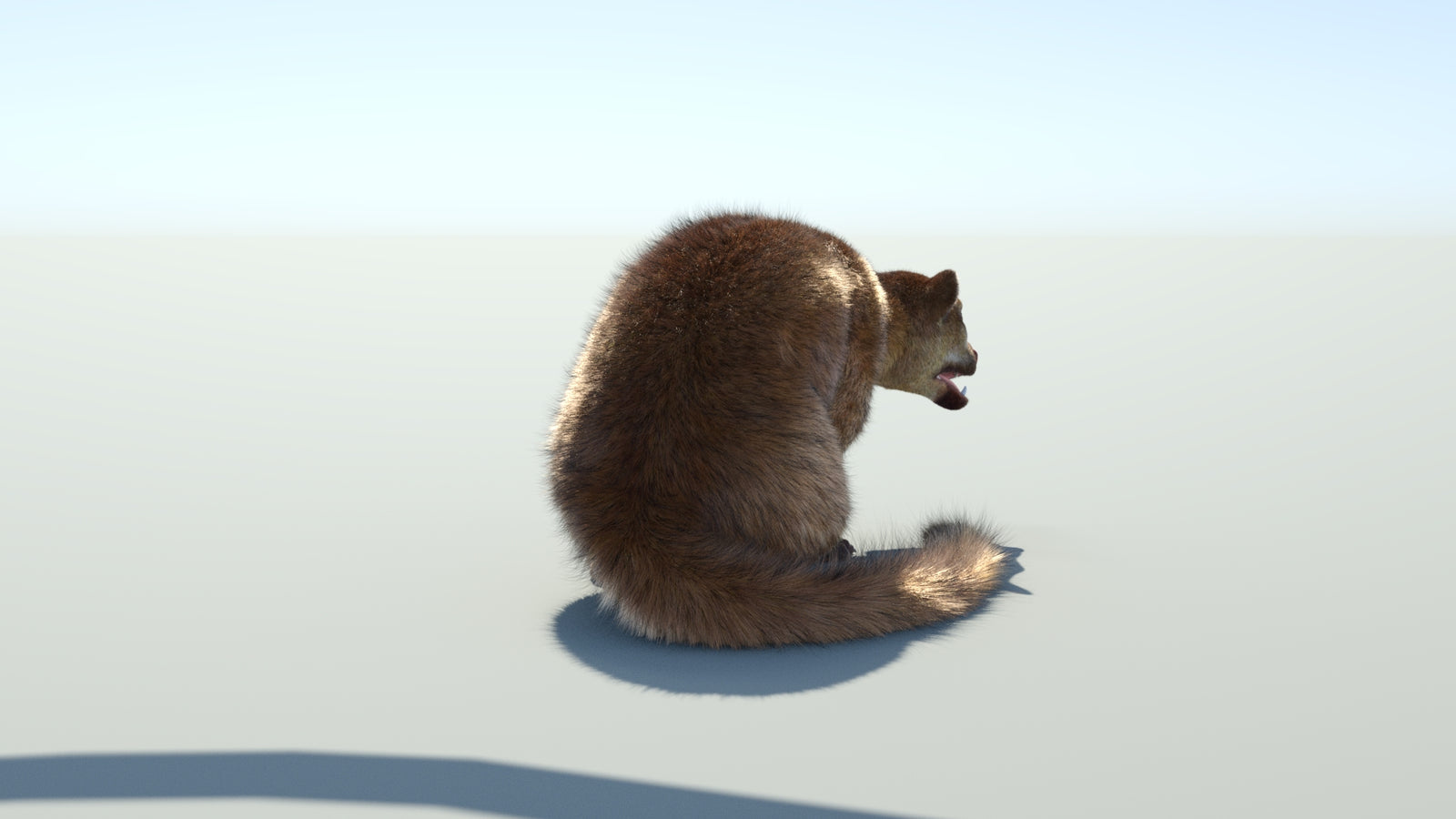 Realistic Kinkajou 3D Model Animated Fur 360° view 2 frame 24