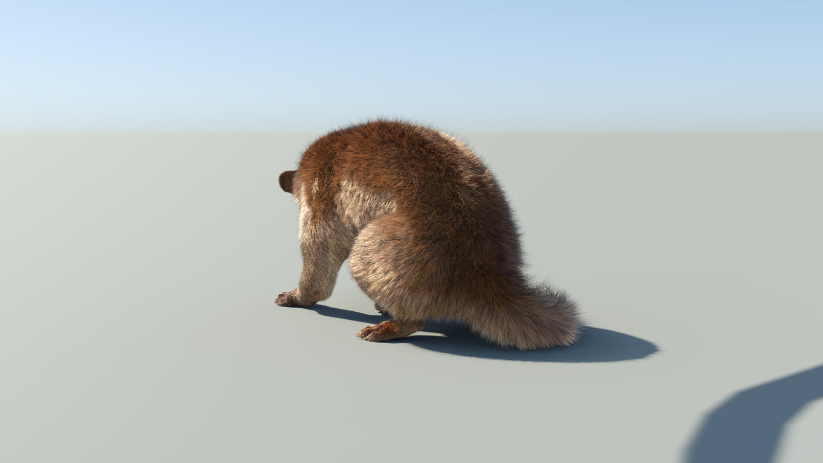 Realistic Kinkajou 3D Model Animated Fur 360° view 2 frame 30