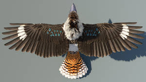 Rigged Kookaburra 3D Model Thumbnail