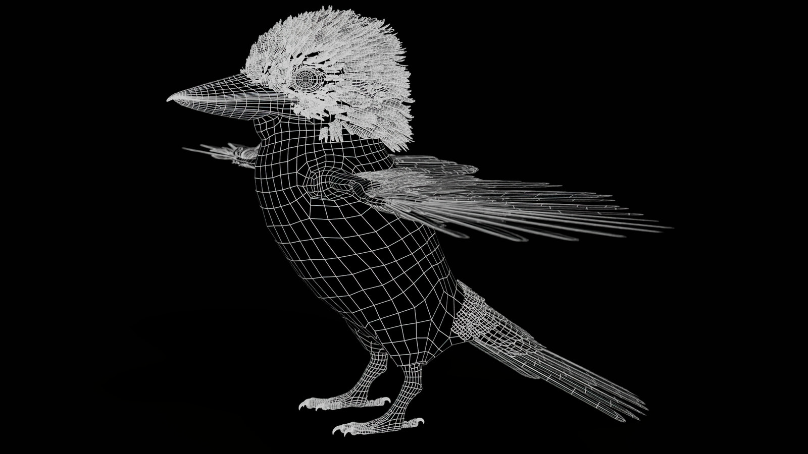 Rigged Kookaburra 3D Model