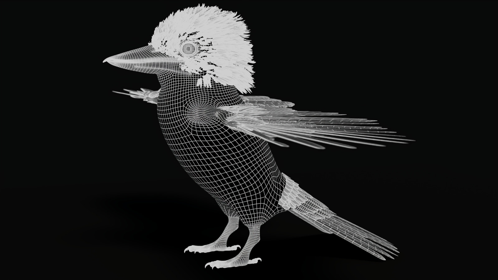 Rigged Kookaburra 3D Model