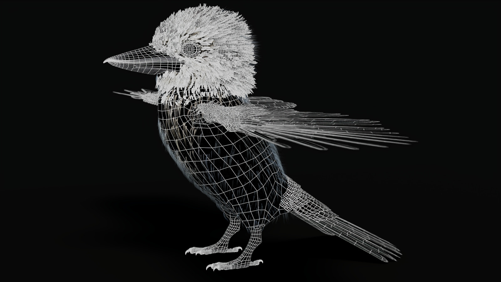 Rigged Kookaburra 3D Model