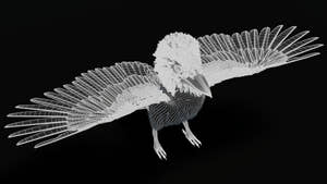 Rigged Kookaburra 3D Model Thumbnail