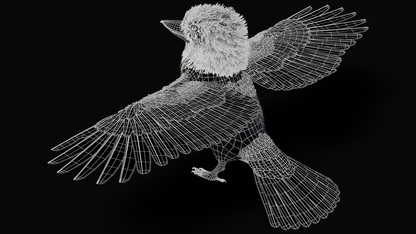 Rigged Kookaburra 3D Model