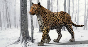 Realistic Rigged Leopard 3D Model for Download Thumbnail