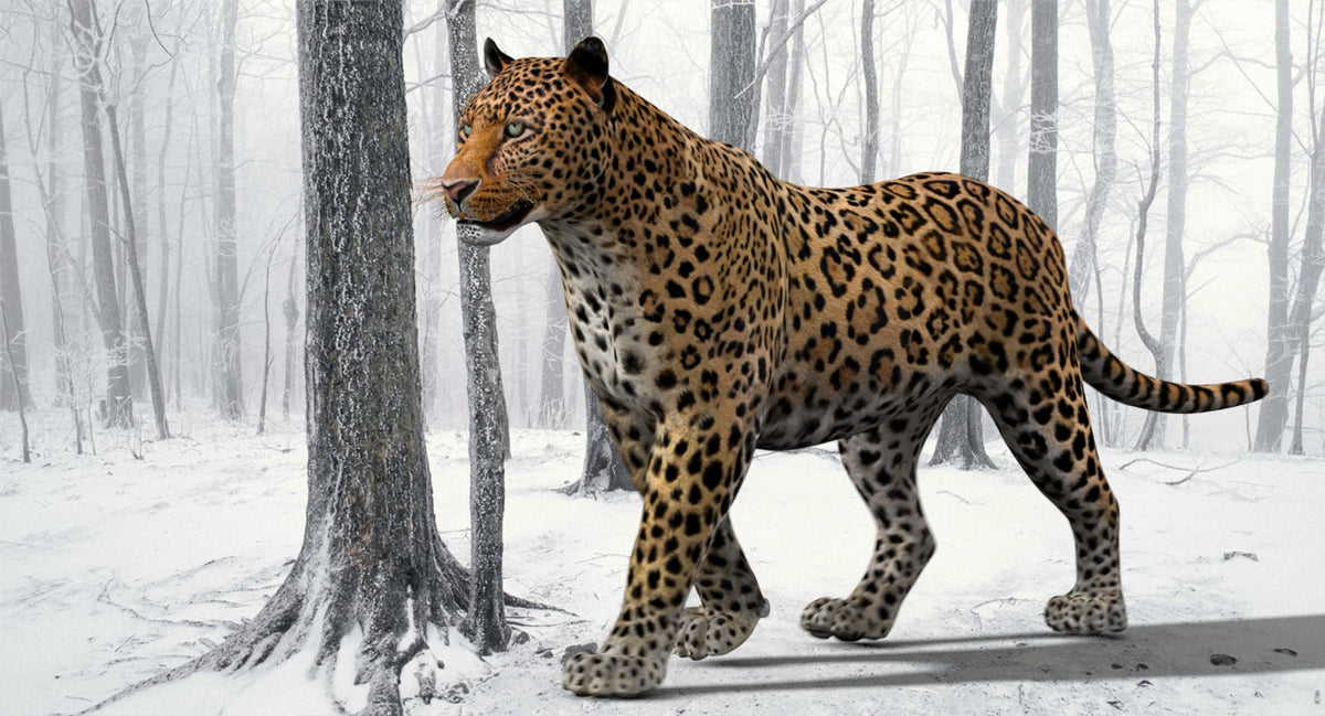 Realistic Rigged Leopard 3D Model for Download
