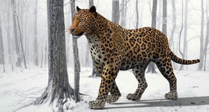 Realistic Rigged Leopard 3D Model for Download Thumbnail