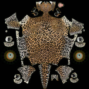 Leopard 3D Model Body UV map Thumbnail