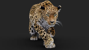 Rigged Leopard 3D Model with realistic Fur