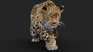 Rigged Leopard 3D Model with realistic Fur Thumbnail