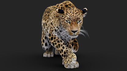 Rigged Leopard 3D Model Fur