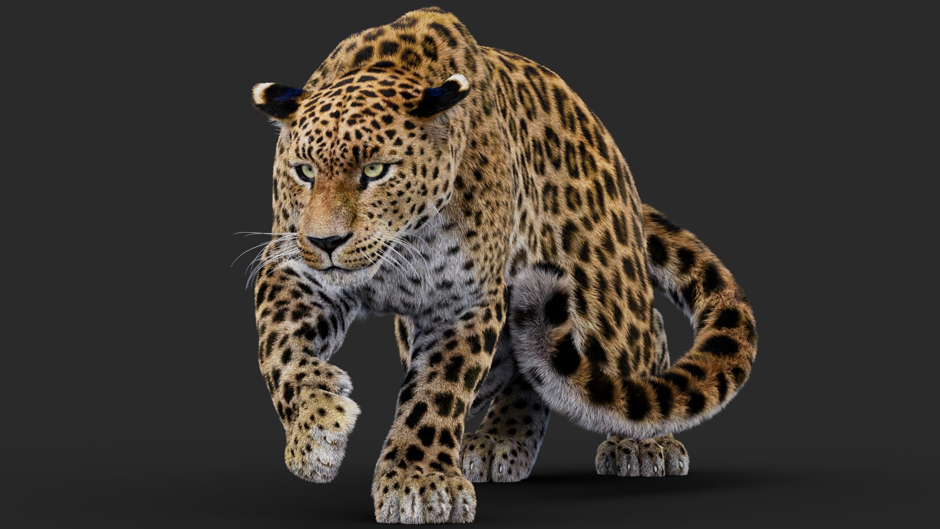 Rigged Leopard 3D Model with Fur