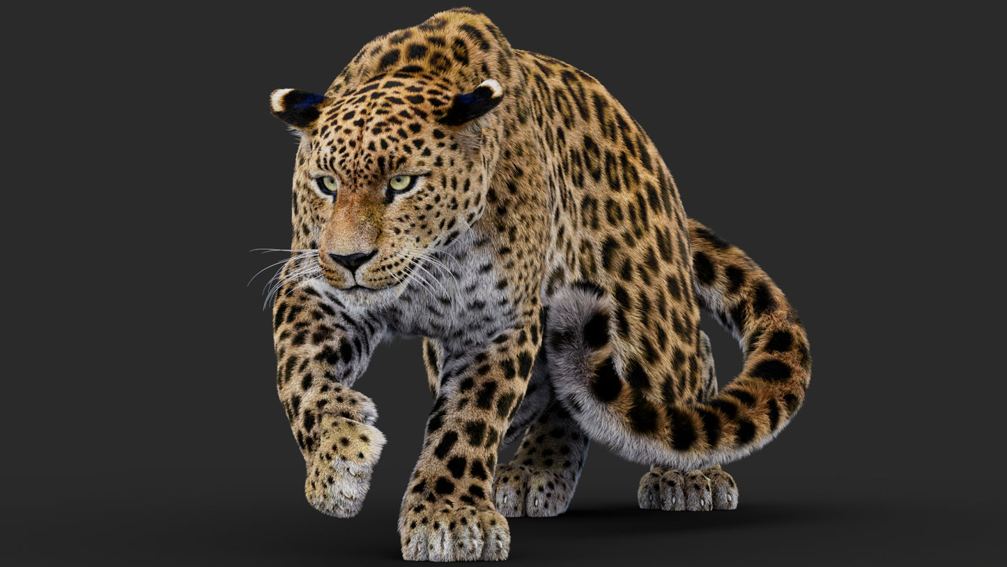 Rigged Leopard 3D Model Fur
