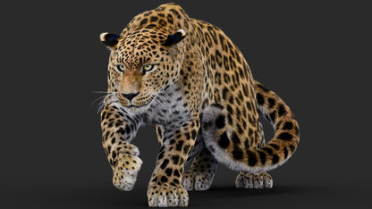 Rigged Leopard 3D Model Fur