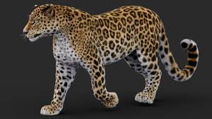 Rigged Leopard 3D Model with Fur Thumbnail