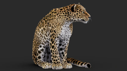 Rigged Leopard 3D Model Fur