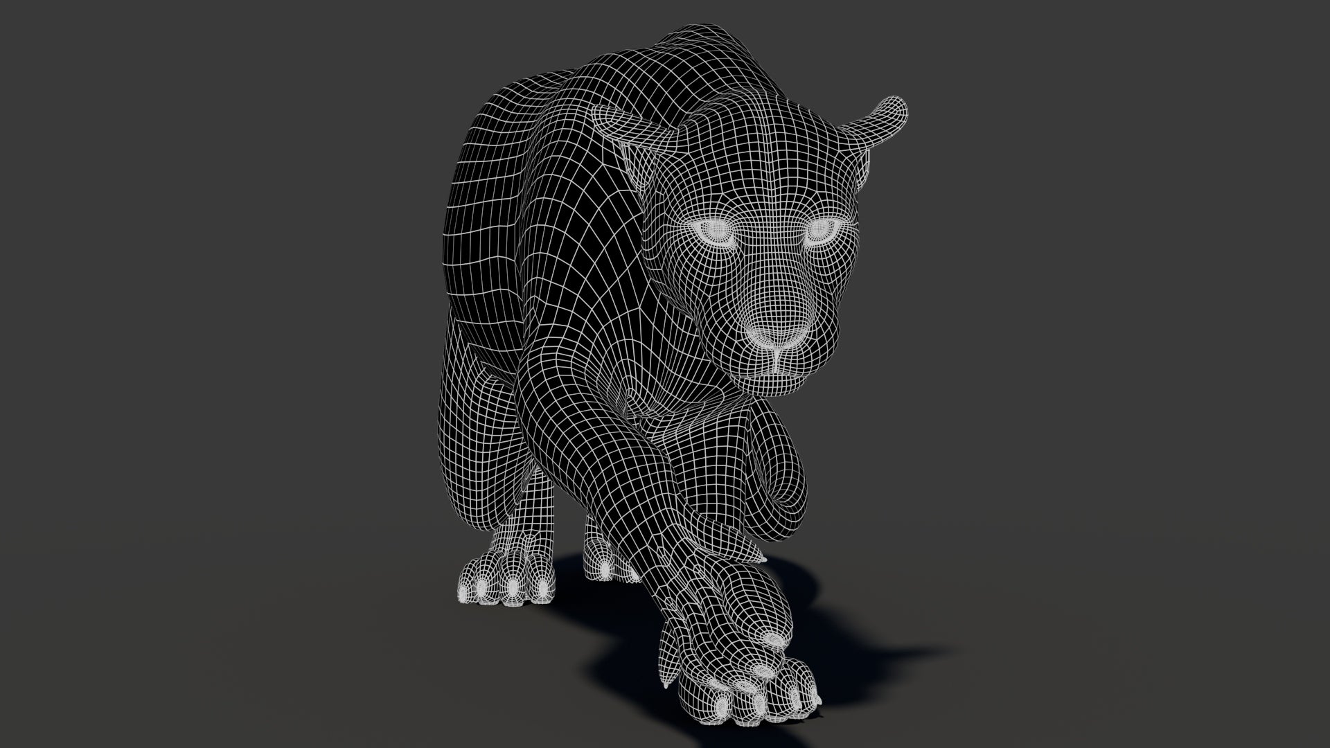 Rigged Leopard 3D Model Wireframe View Subdivision Level 1