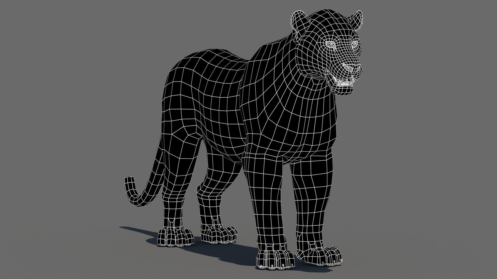 Leopard 3D Model Wireframe View Subdivision Level 0