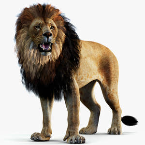 Rigged Lion 3D Model Thumbnail