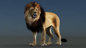Rigged Lion 3D Model Thumbnail
