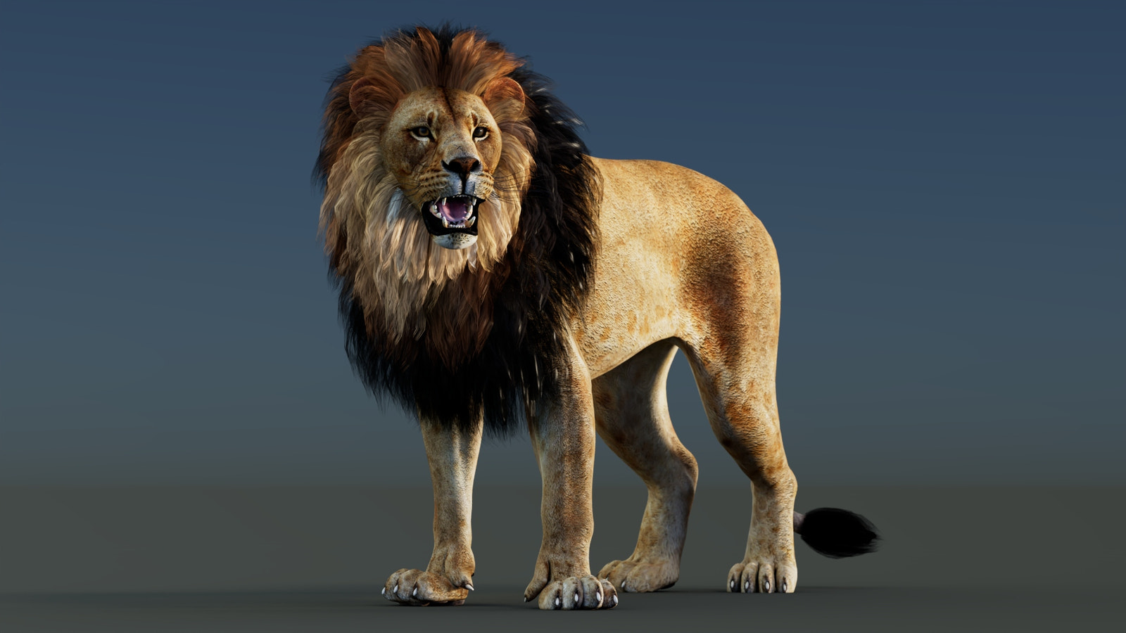 Rigged Lion 3D Model