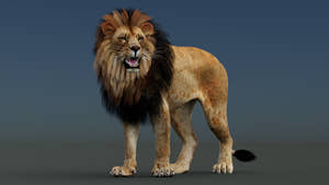 Rigged Lion 3D Model — Polygonal Mane (Hair Cards), Full PBR Thumbnail