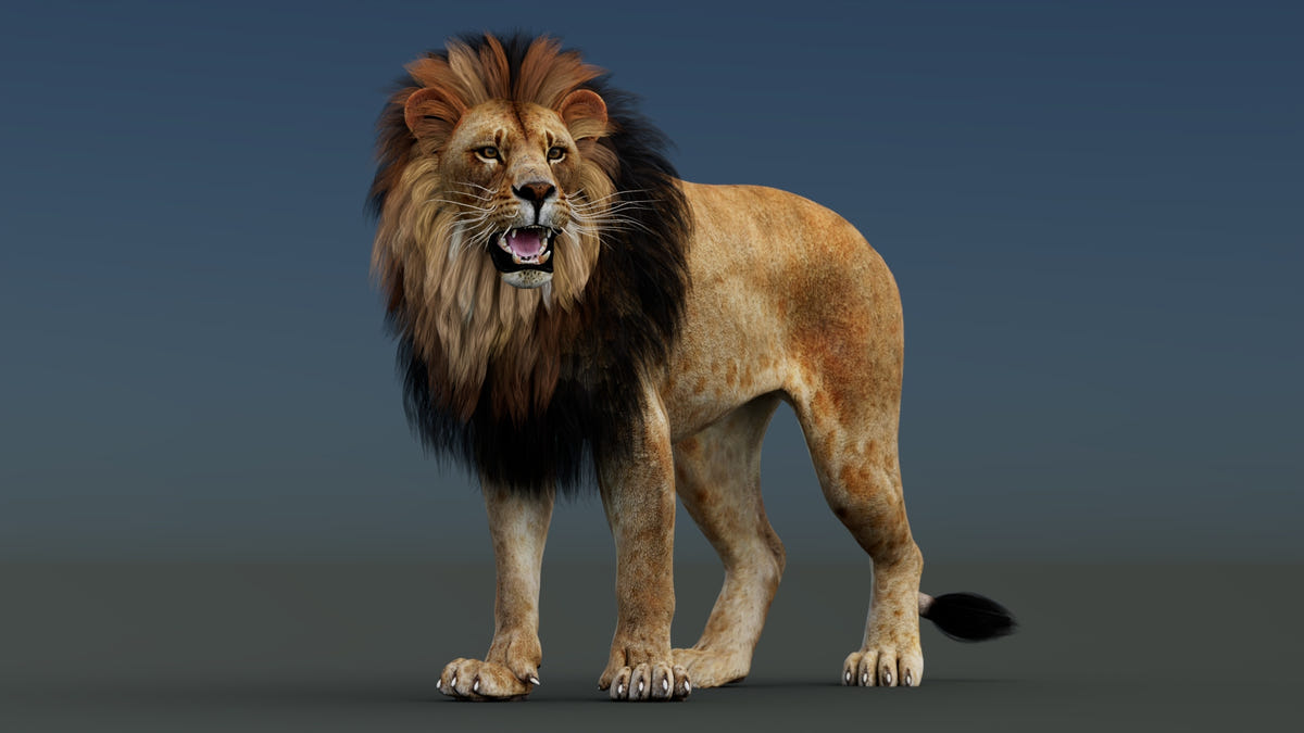 Rigged Lion 3D Model — Polygonal Mane (Hair Cards), Full PBR