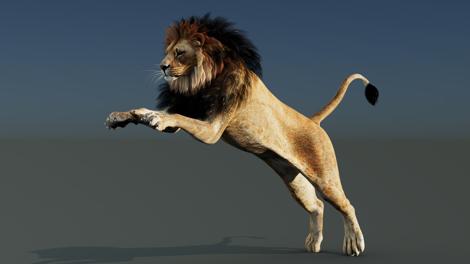 Rigged Lion 3D Model