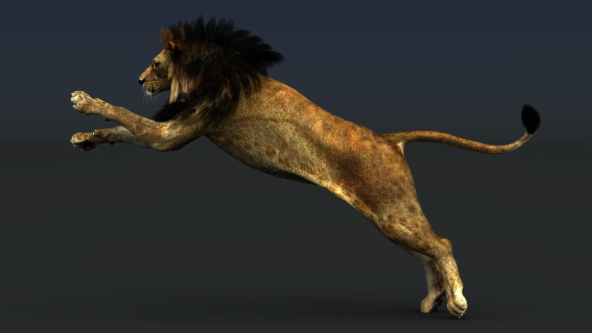 Rigged Lion 3D Model with PBR texture maps