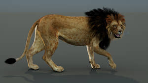 Rigged Lion 3D Model Thumbnail