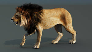 Rigged Lion 3D Model Thumbnail