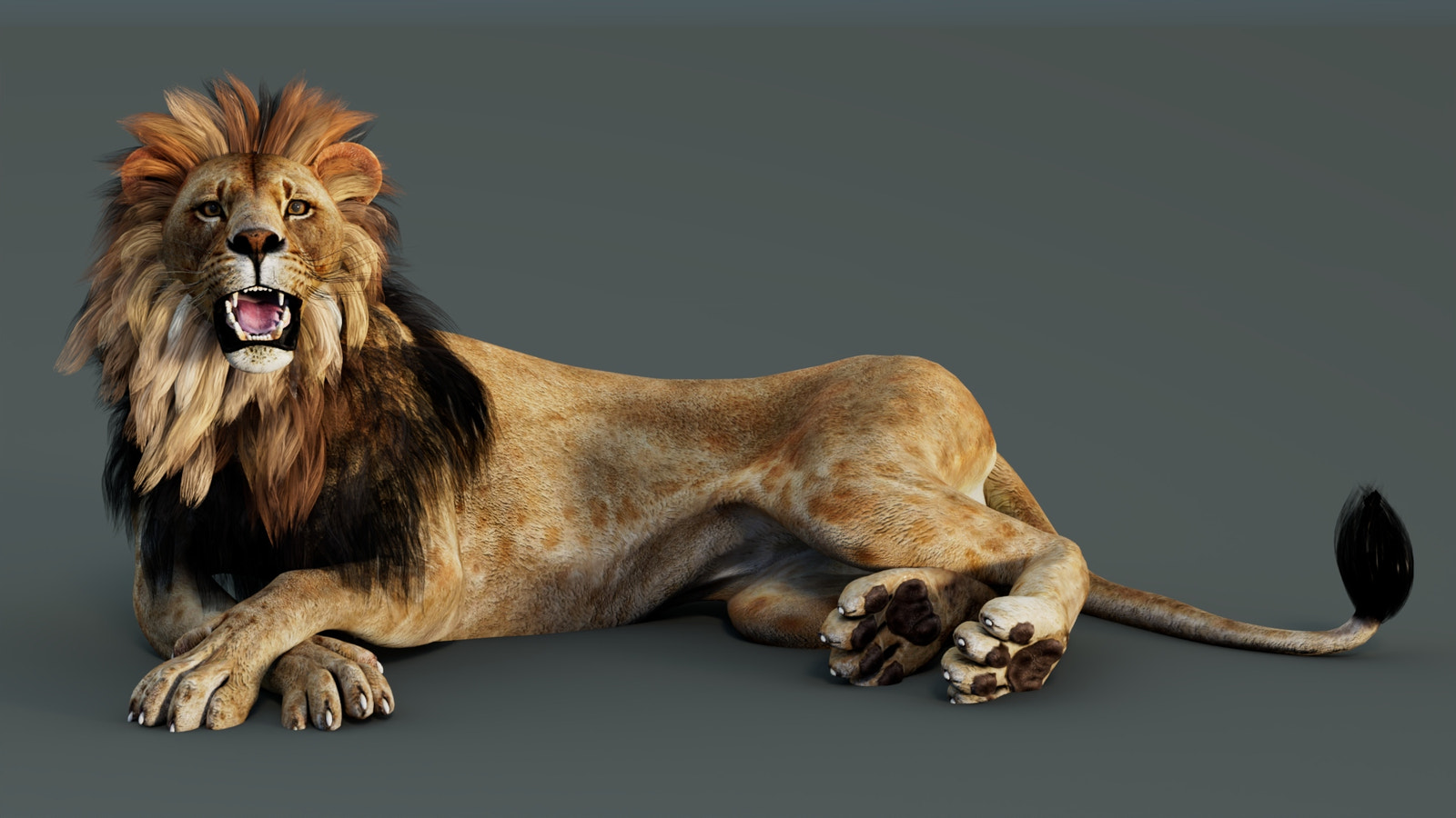 Rigged Lion 3D Model