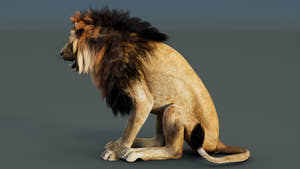 Rigged Lion 3D Model Thumbnail