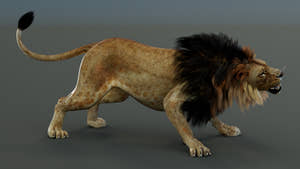 Rigged Lion 3D Model Thumbnail