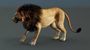 Rigged Lion 3D Model Thumbnail