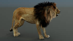Rigged Lion 3D Model Thumbnail